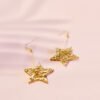 Star Drop Earrings earrings 02 a